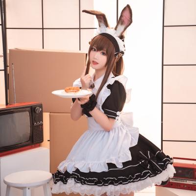 k1体育官方网站讲解
