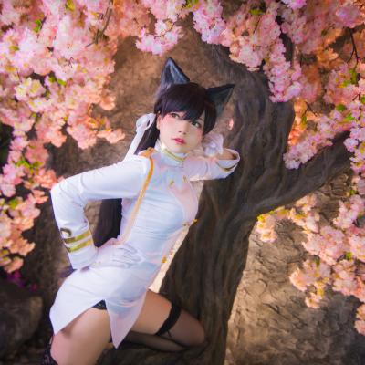 k1体育赛事直播讲解