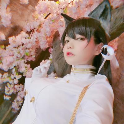 k1体育比赛数据讲解