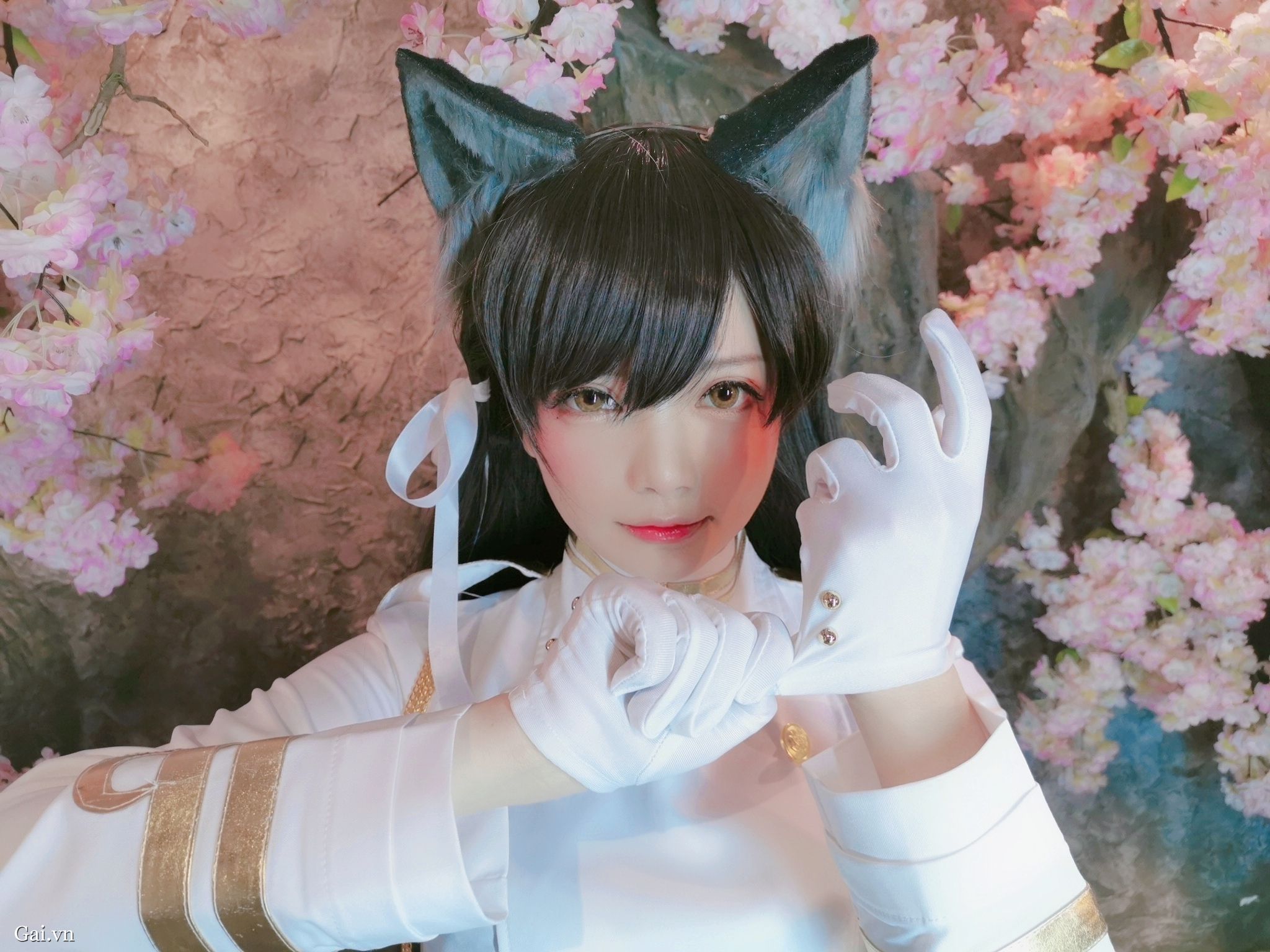 k1体育app官方网站讲解